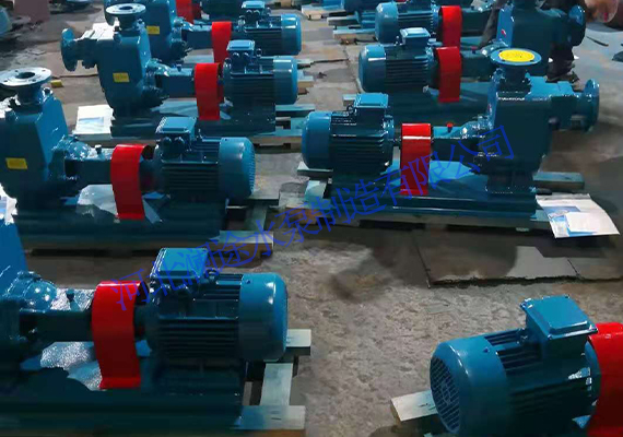 ZW自吸泵污水泵