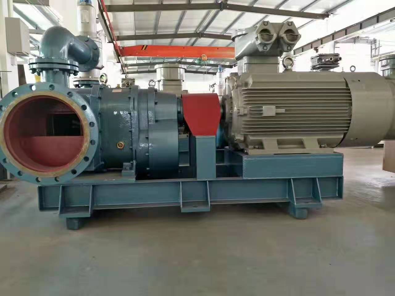 污水污泥轉(zhuǎn)子輸送泵